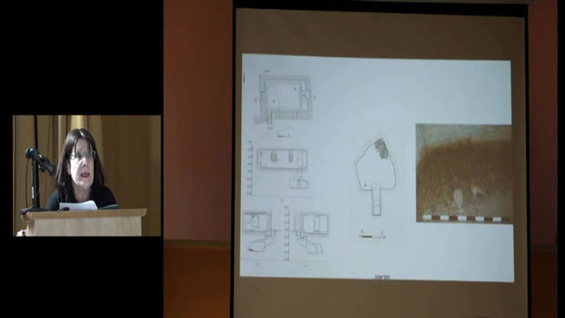 פסיפס הציפורים  - דר ליהיא חבס